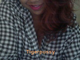 Tigerpussy