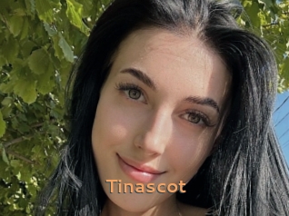 Tinascot
