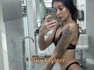 Tiny_taylorr