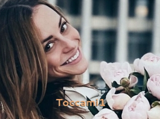Toccami1