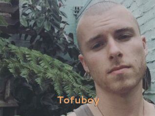 Tofu_boy