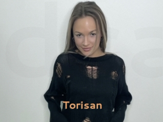 Torisan
