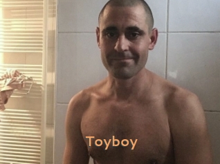 Toyboy