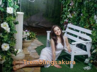 Tremblingsakura