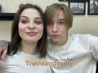 Trevisandemily