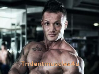 Tridentmuscles4u