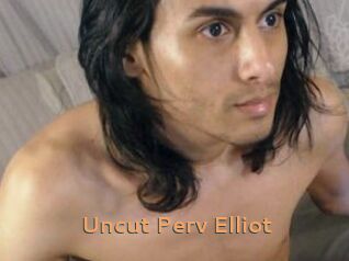 Uncut_Perv_Elliot