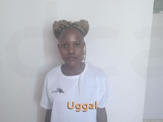 Uggal