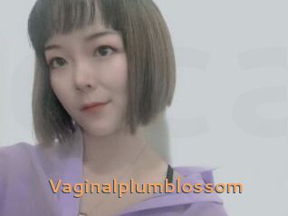 Vaginalplumblossom