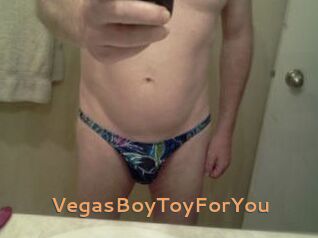 VegasBoyToyForYou