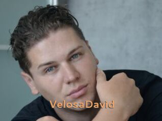 VelosaDavid