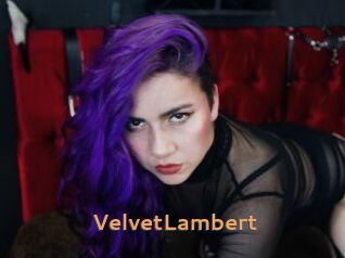 VelvetLambert