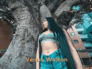 Venus_Walton