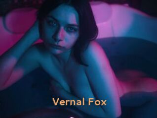 Vernal_Fox