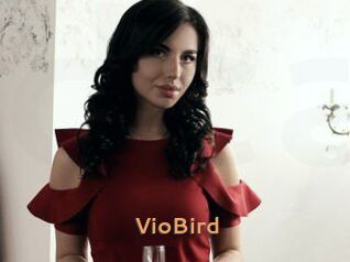 VioBird