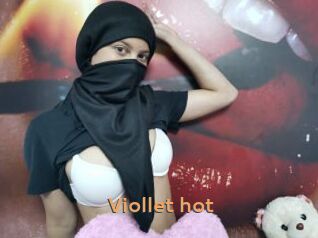 Viollet_hot