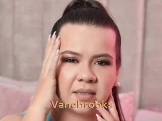 Vanebrooks