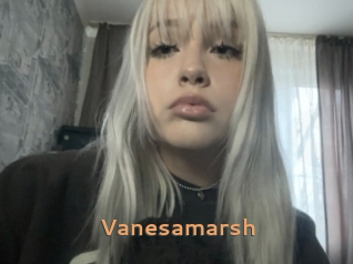 Vanesamarsh