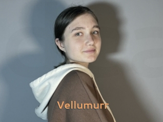 Vellumurr