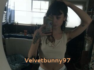 Velvetbunny97