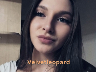 Velvetleopard