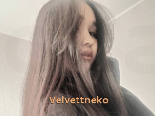 velvettneko Du Cul A Gogo