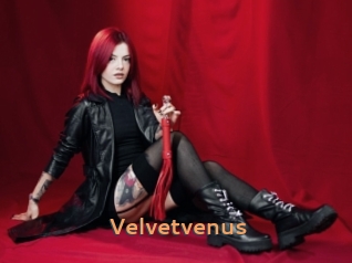 Velvetvenus