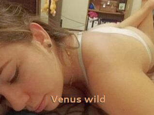 Venus_wild