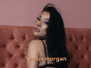 Venusmorgan