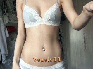 Vezels11