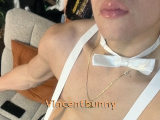 Vincentbunny