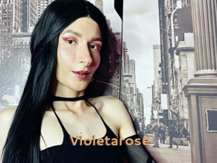Violetarose