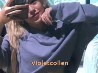 Violetcollen