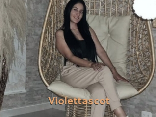 Violettascot