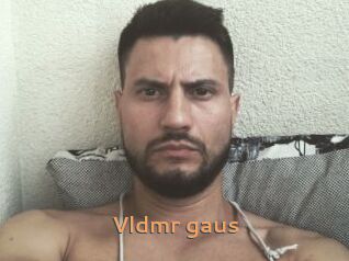 vldmr_gaus Du Cul A Gogo