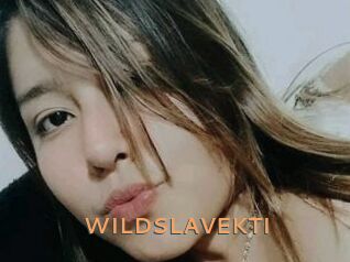 WILDSLAVEKTI