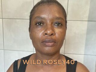 WILD_ROSEY40