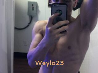 Waylo23