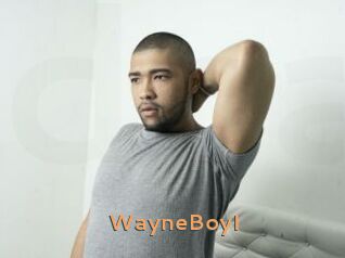 WayneBoyI