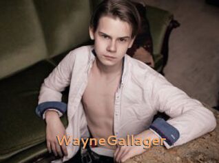 WayneGallager