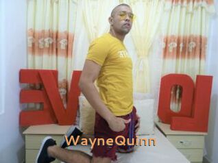 WayneQuinn
