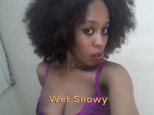 Wet_Snowy