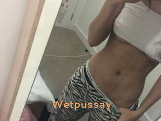 Wetpussay Du Cul A Gogo