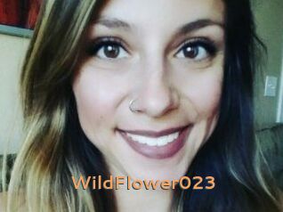 WildFlower023