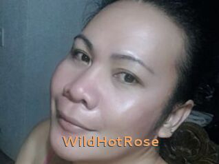 WildHotRose
