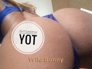 Wild_Bunny_