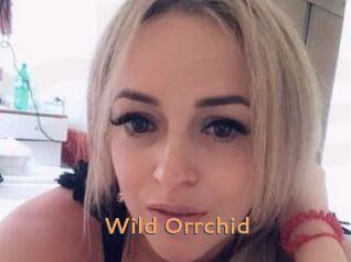 Wild_Orrchid