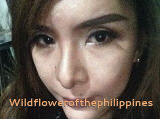 Wildflowerofthephilippines