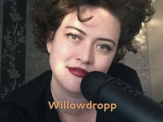 Willowdropp