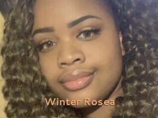 Winter_Rosea